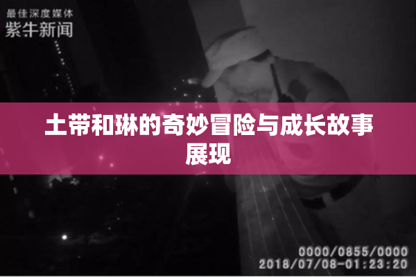 土带和琳的奇妙冒险与成长故事展现