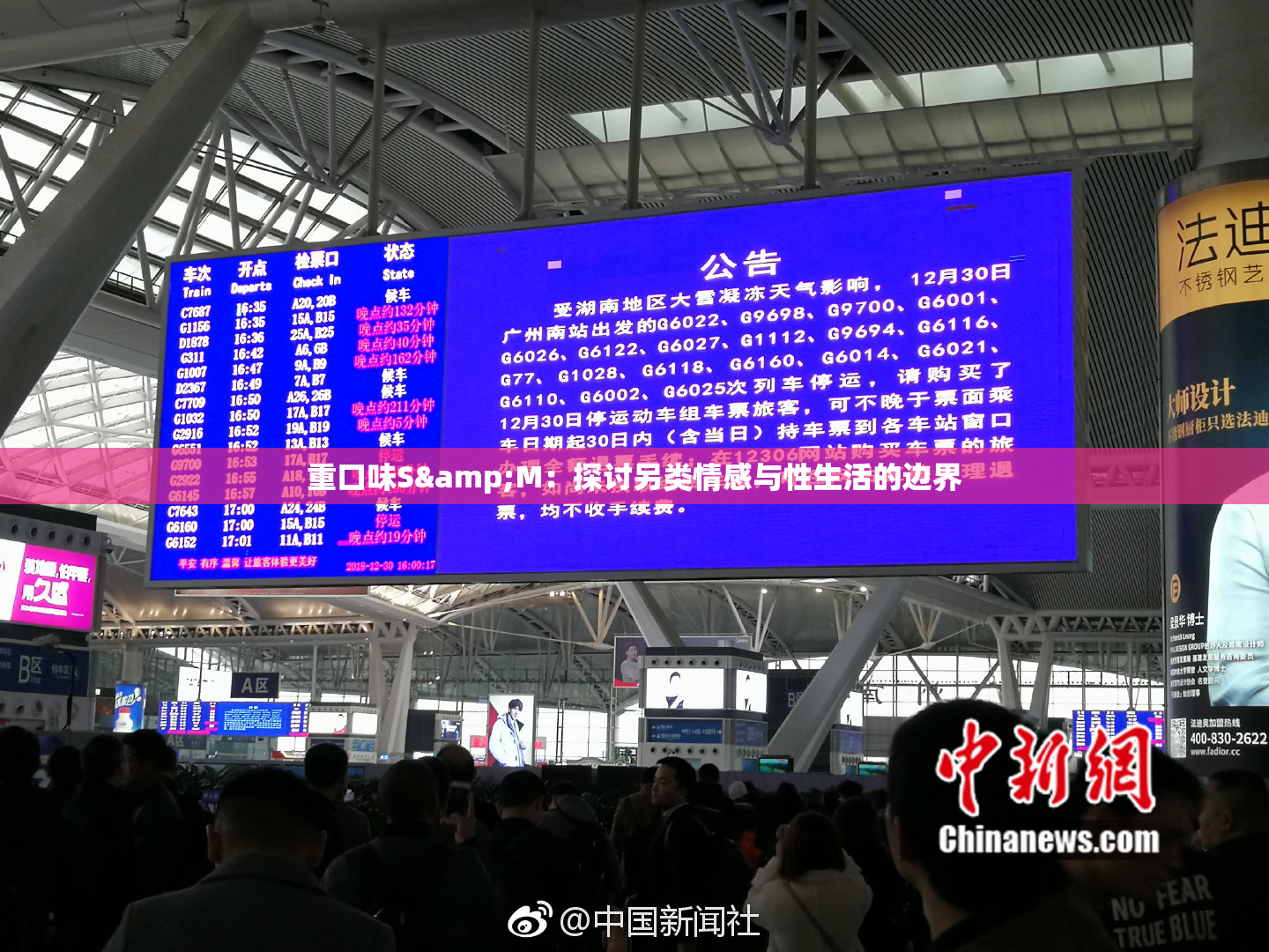 重口味S&M：探讨另类情感与性生活的边界
