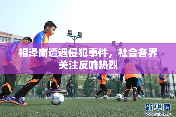 相泽南遭遇侵犯事件，社会各界关注反响热烈