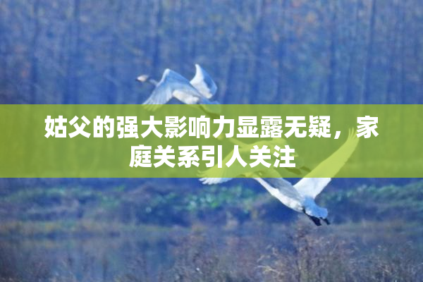 姑父的强大影响力显露无疑，家庭关系引人关注