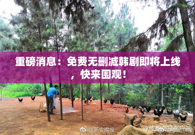 重磅消息：免费无删减韩剧即将上线，快来围观！