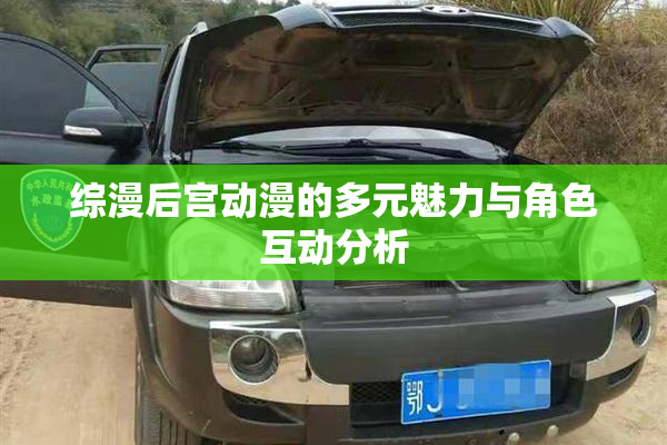 综漫后宫动漫的多元魅力与角色互动分析