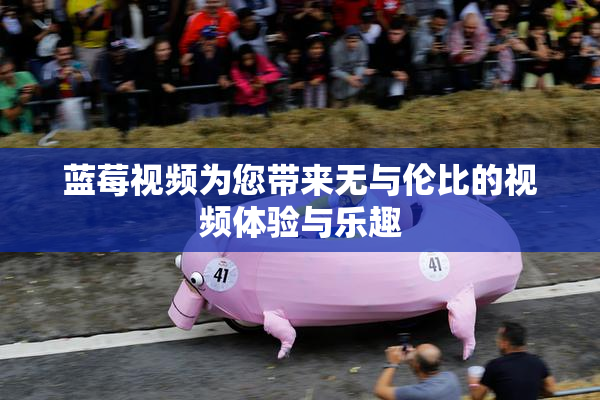 蓝莓视频为您带来无与伦比的视频体验与乐趣