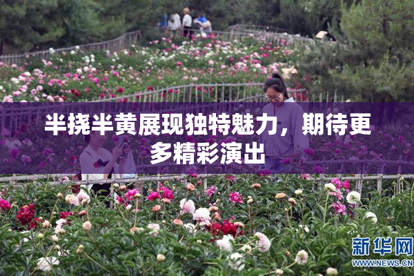 半挠半黄展现独特魅力，期待更多精彩演出
