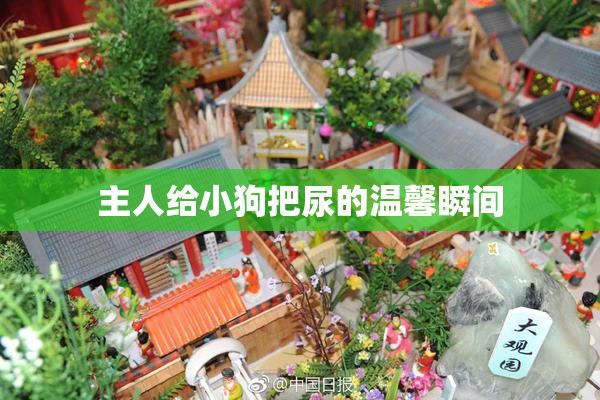 主人给小狗把尿的温馨瞬间