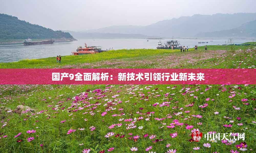 国产9全面解析：新技术引领行业新未来