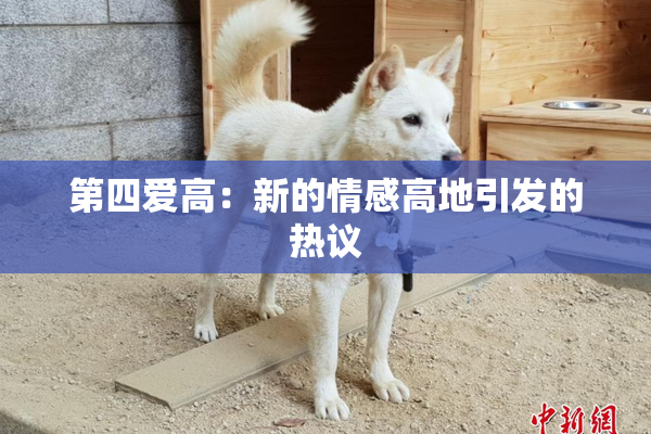 第四爱高：新的情感高地引发的热议