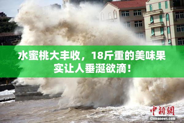 水蜜桃大丰收，18斤重的美味果实让人垂涎欲滴！