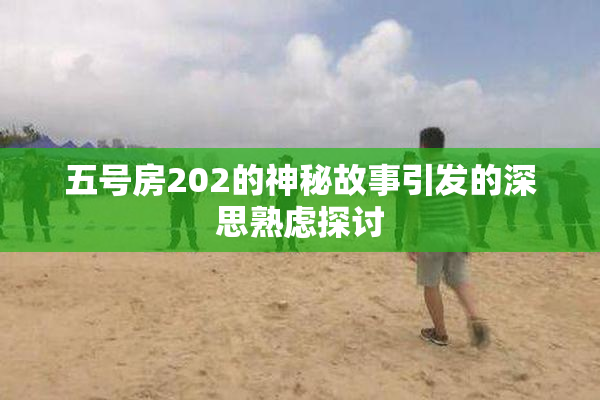 五号房202的神秘故事引发的深思熟虑探讨