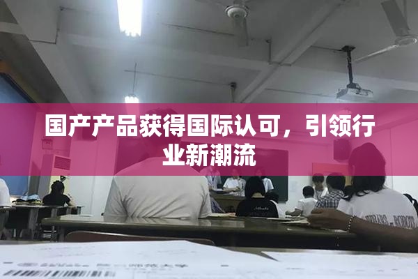 国产产品获得国际认可，引领行业新潮流