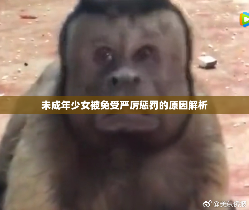 未成年少女被免受严厉惩罚的原因解析