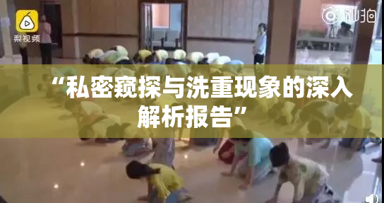 “私密窥探与洗重现象的深入解析报告”