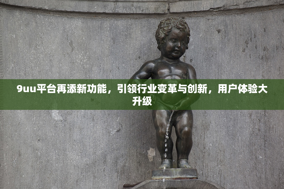 9uu平台再添新功能，引领行业变革与创新，用户体验大升级