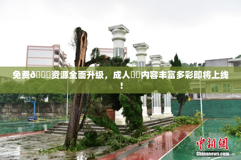 免费🔞资源全面升级，成人❌‌内容丰富多彩即将上线！