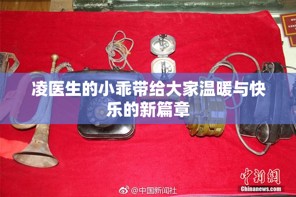 凌医生的小乖带给大家温暖与快乐的新篇章