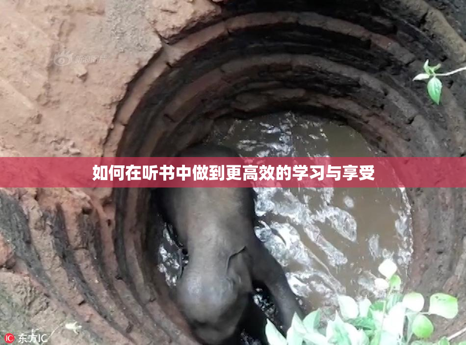 如何在听书中做到更高效的学习与享受