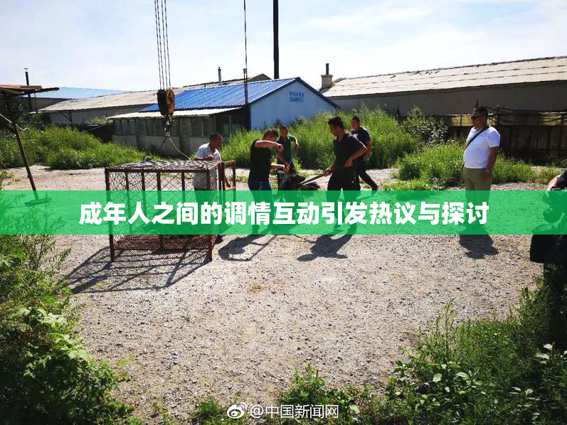 成年人之间的调情互动引发热议与探讨