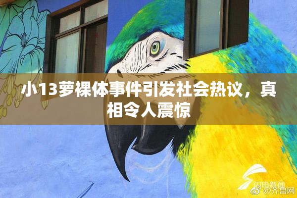 小13萝裸体事件引发社会热议，真相令人震惊