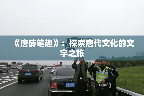 《唐砖笔趣》：探索唐代文化的文字之旅