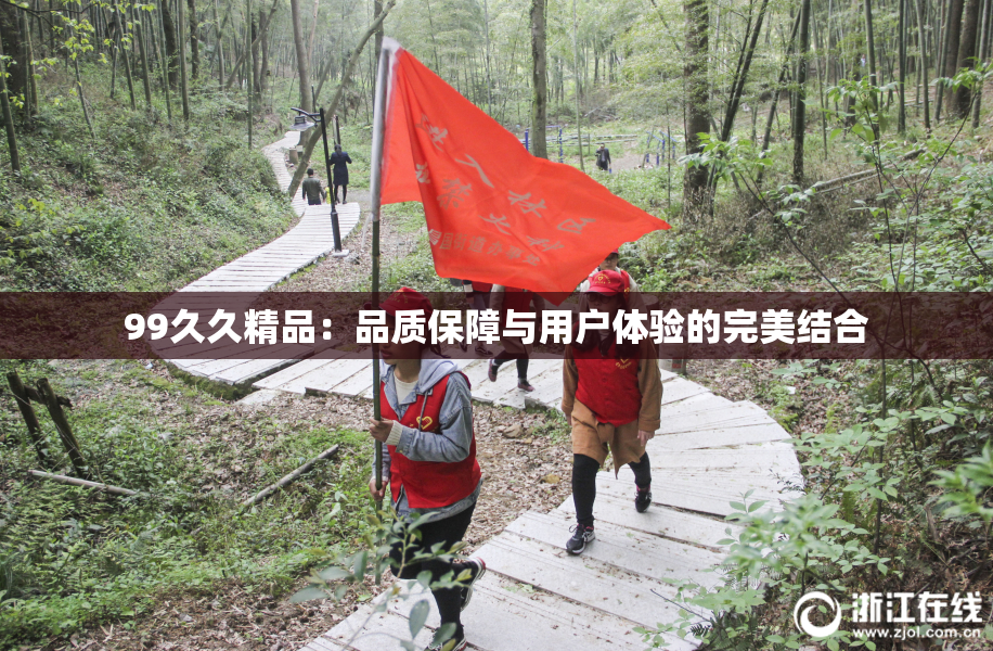 99久久精品：品质保障与用户体验的完美结合
