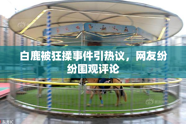 白鹿被狂揉事件引热议，网友纷纷围观评论