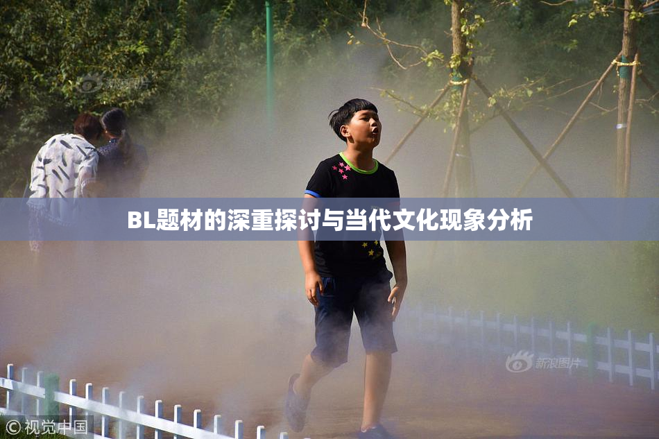 BL题材的深重探讨与当代文化现象分析