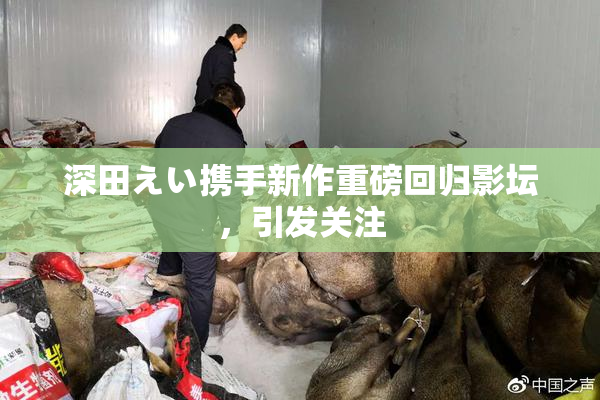 深田えい携手新作重磅回归影坛，引发关注
