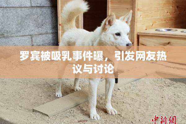 罗宾被吸乳事件曝，引发网友热议与讨论