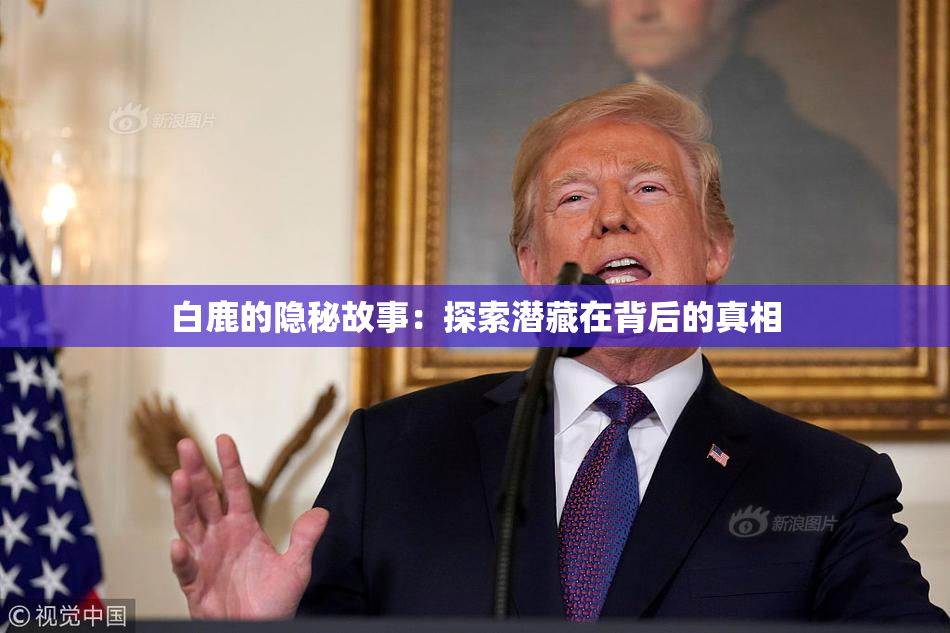 白鹿的隐秘故事：探索潜藏在背后的真相