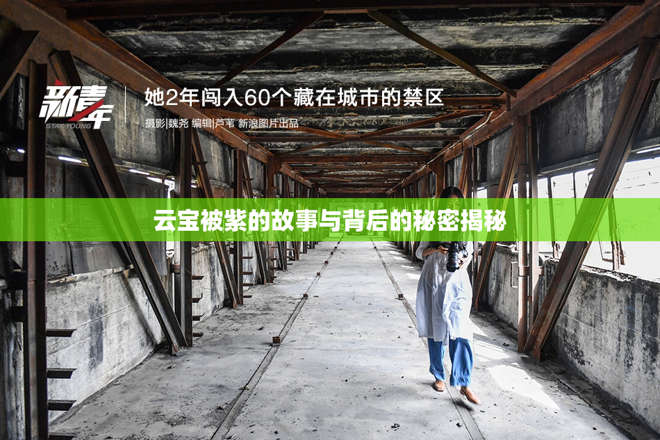 云宝被紫的故事与背后的秘密揭秘