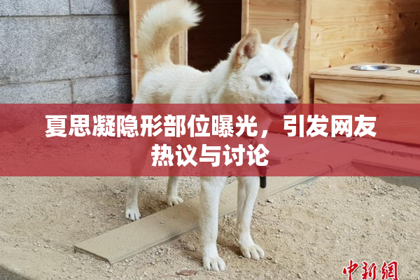 夏思凝隐形部位曝光，引发网友热议与讨论