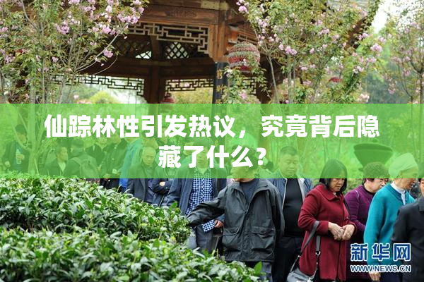 仙踪林性引发热议，究竟背后隐藏了什么？