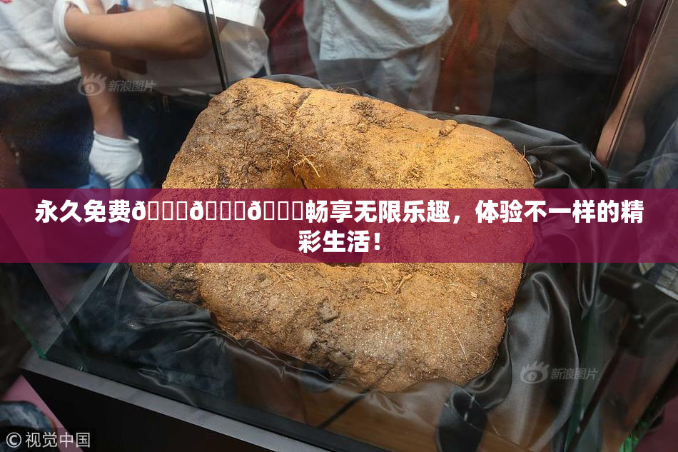 永久免费🔞🔞🔞畅享无限乐趣，体验不一样的精彩生活！
