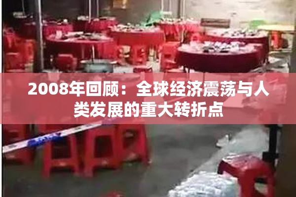 2008年回顾：全球经济震荡与人类发展的重大转折点