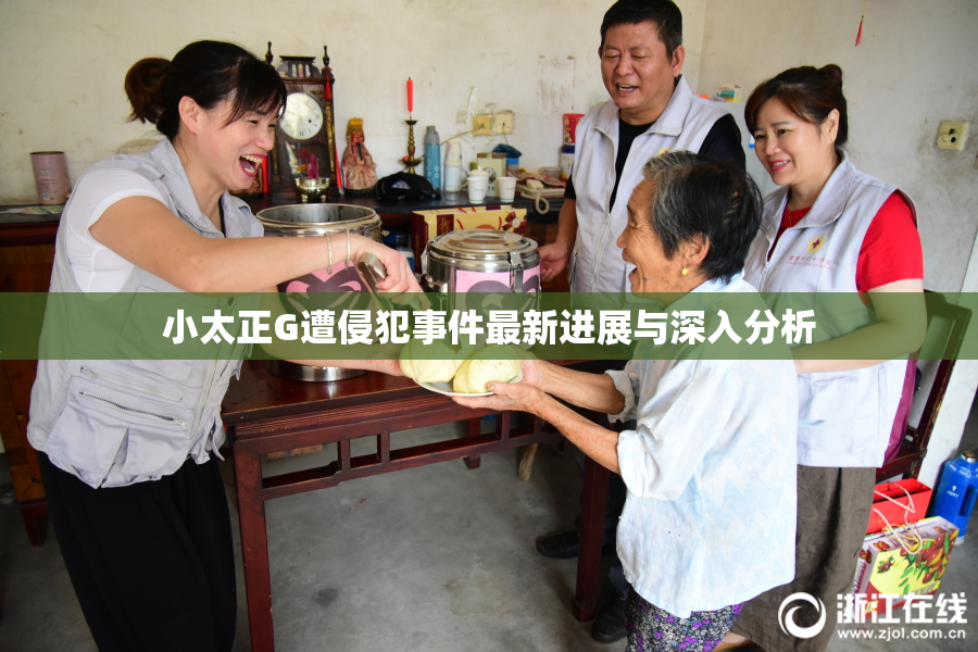 小太正G遭侵犯事件最新进展与深入分析