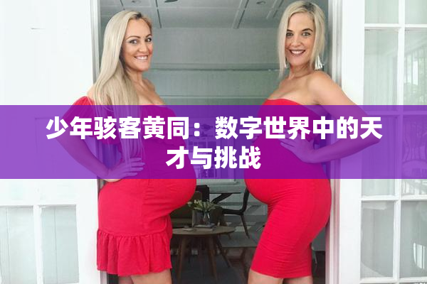 少年骇客黄同：数字世界中的天才与挑战