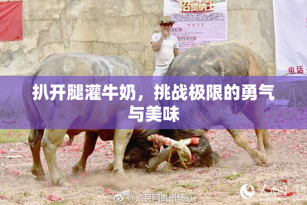 扒开腿灌牛奶，挑战极限的勇气与美味