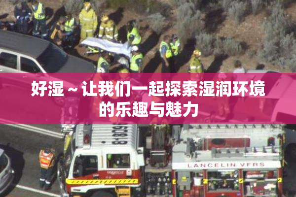 好湿～让我们一起探索湿润环境的乐趣与魅力