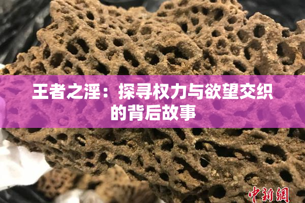 王者之淫：探寻权力与欲望交织的背后故事