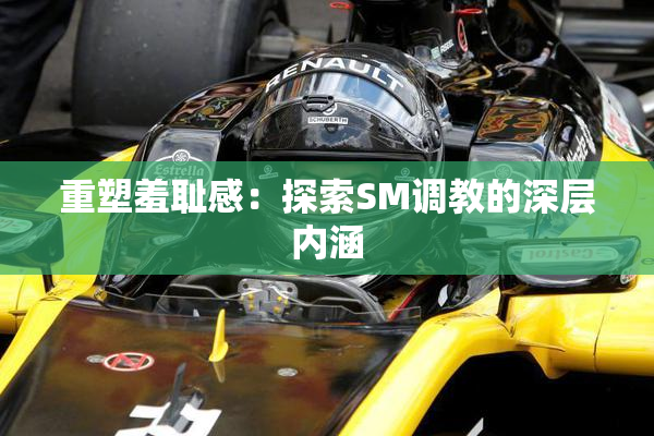 重塑羞耻感：探索SM调教的深层内涵