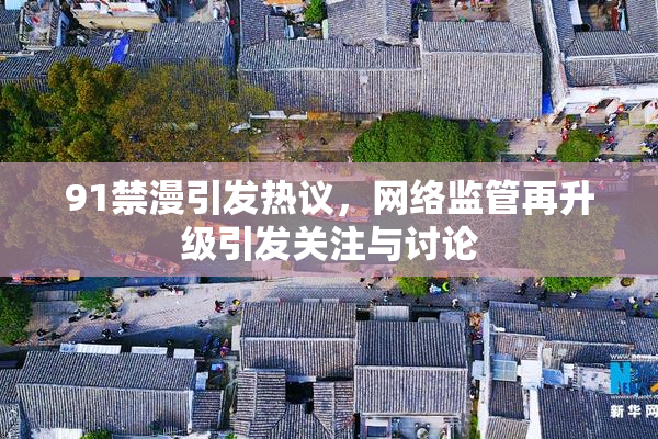 91禁漫引发热议，网络监管再升级引发关注与讨论
