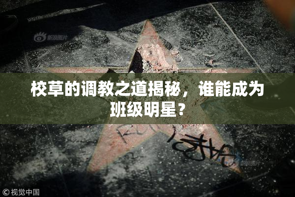 校草的调教之道揭秘，谁能成为班级明星？