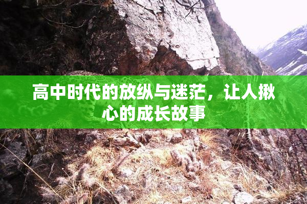 高中时代的放纵与迷茫，让人揪心的成长故事
