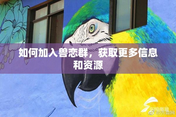 如何加入兽恋群，获取更多信息和资源