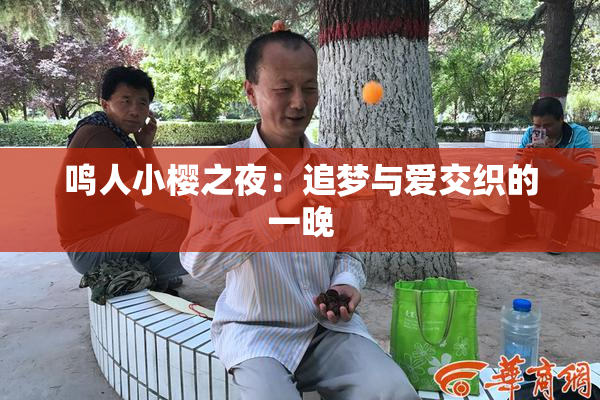 鸣人小樱之夜：追梦与爱交织的一晚