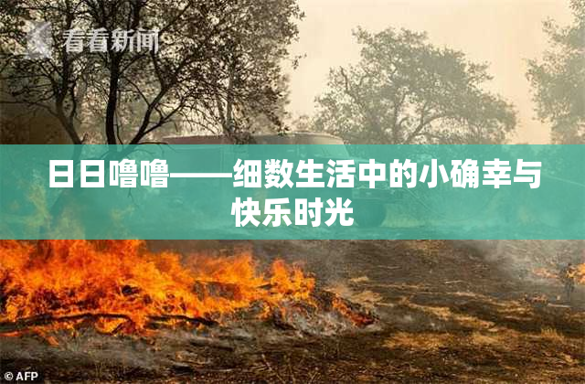 日日噜噜——细数生活中的小确幸与快乐时光