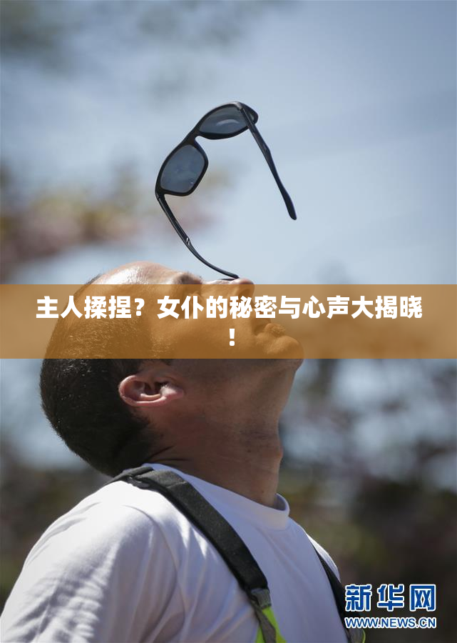 主人揉捏？女仆的秘密与心声大揭晓！