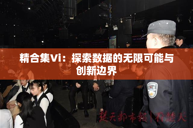 精合集Vi：探索数据的无限可能与创新边界