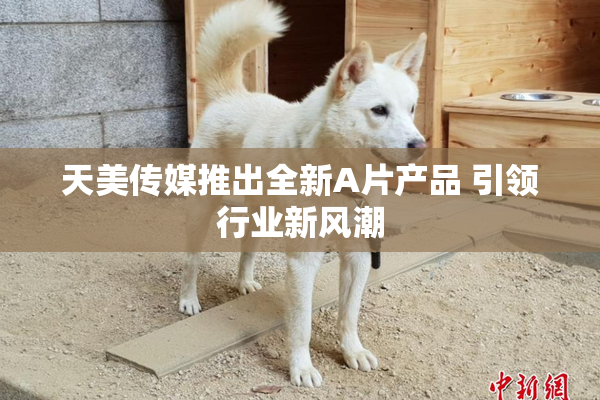 天美传媒推出全新A片产品 引领行业新风潮