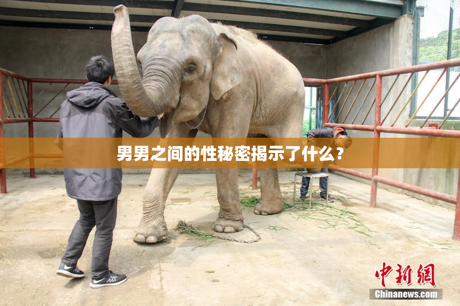 男男之间的性秘密揭示了什么？